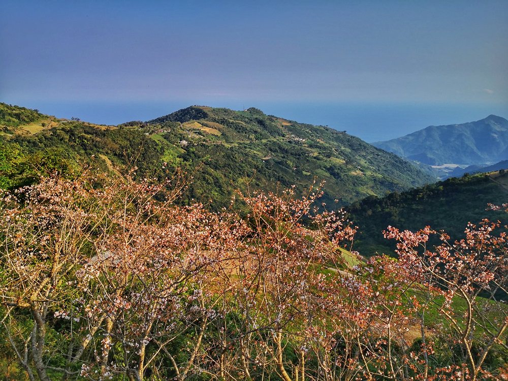 「環山雅築」坐擁迎山面海的山海雙風情，三月正值吉野櫻在山林間盛綻。