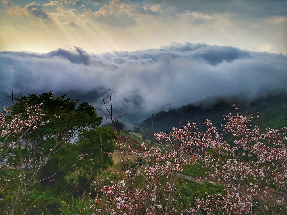 海拔1,100公尺的「環山雅築」坐擁清靜幽美的山林、雲霧飄渺的山嵐之美。