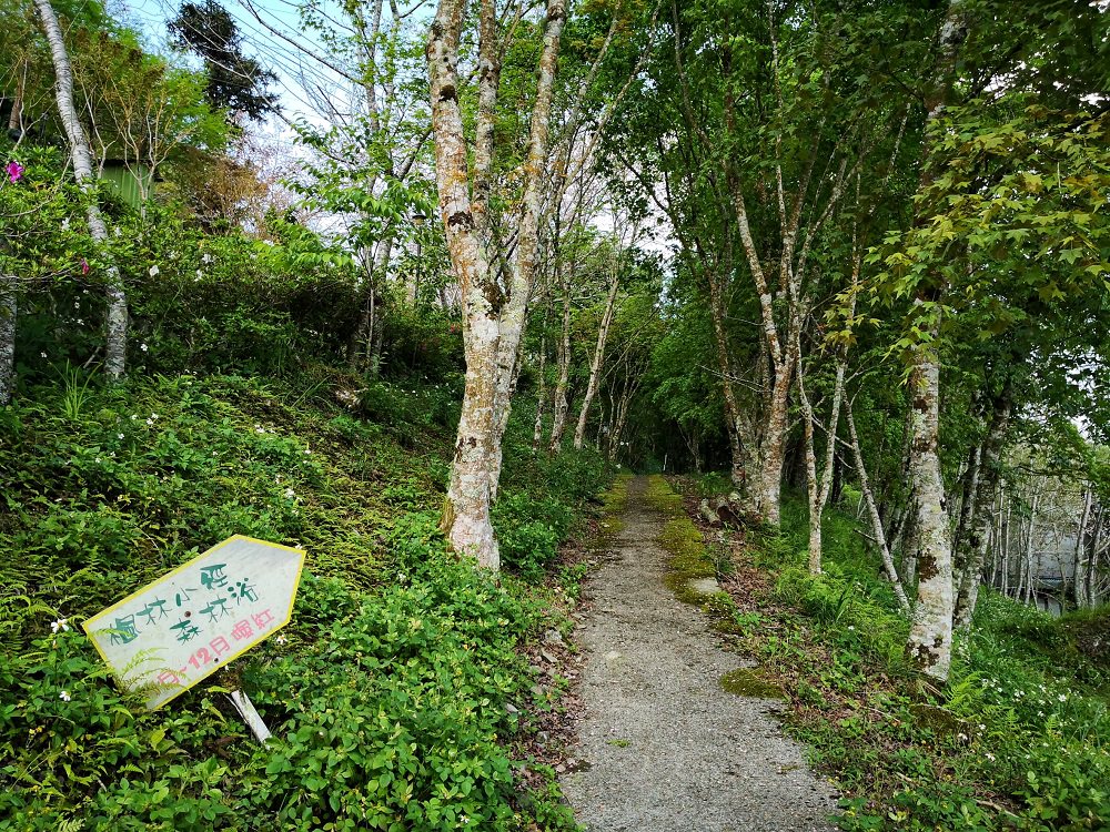 民宿一旁的楓林小徑森林浴，11至12月可賞紅葉美景。
