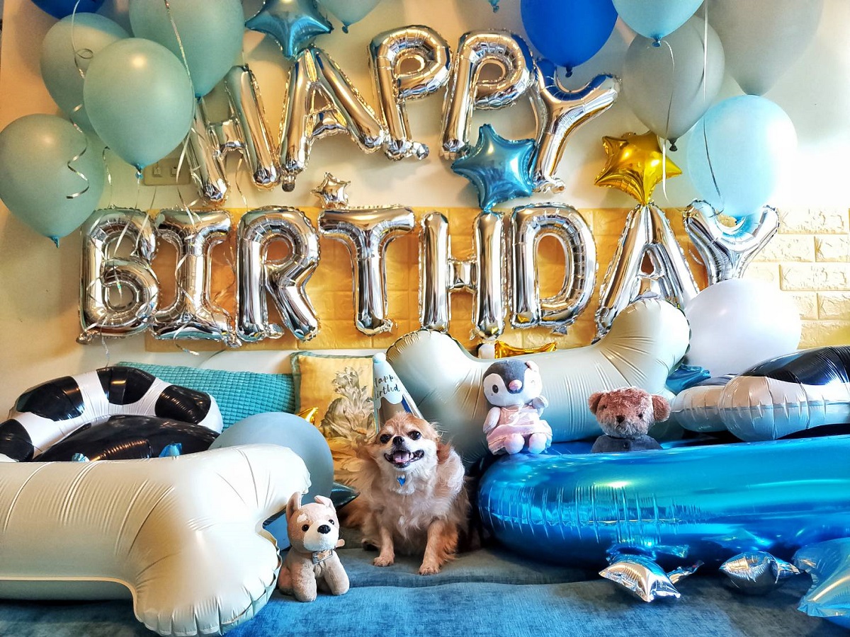 【節慶氣球裝置藝術布置】狗狗生日派對氣球「動森主題」套裝組合 KNJ氣球商城 吃貨旅遊作家水靜葳 (1)