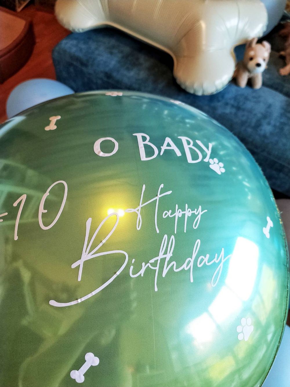 【節慶氣球裝置藝術布置】狗狗生日派對氣球「動森主題」套裝組合 KNJ氣球商城 吃貨旅遊作家水靜葳 (20)