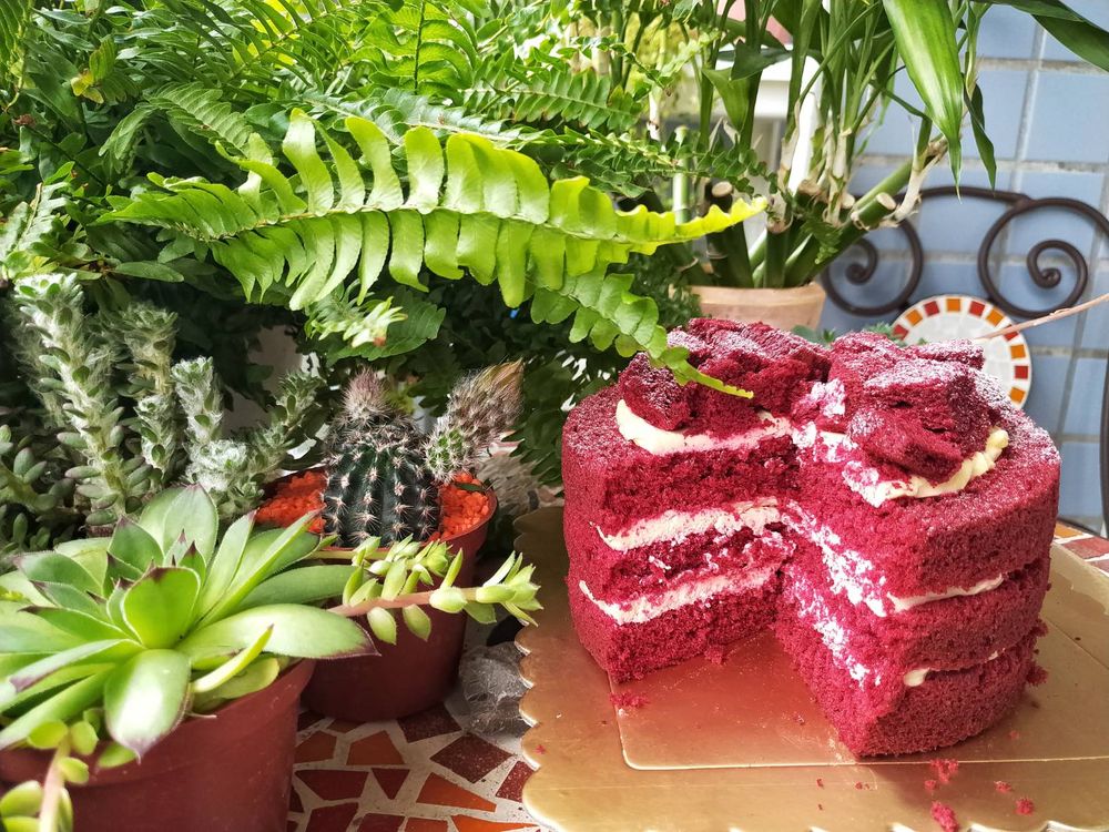 【2021母親節蛋糕預購│宅配團購美食】紅色提拉米蘇！Jetezo Café母親節「紅絲絨蛋糕」 吃貨旅遊作家水靜葳 (14)