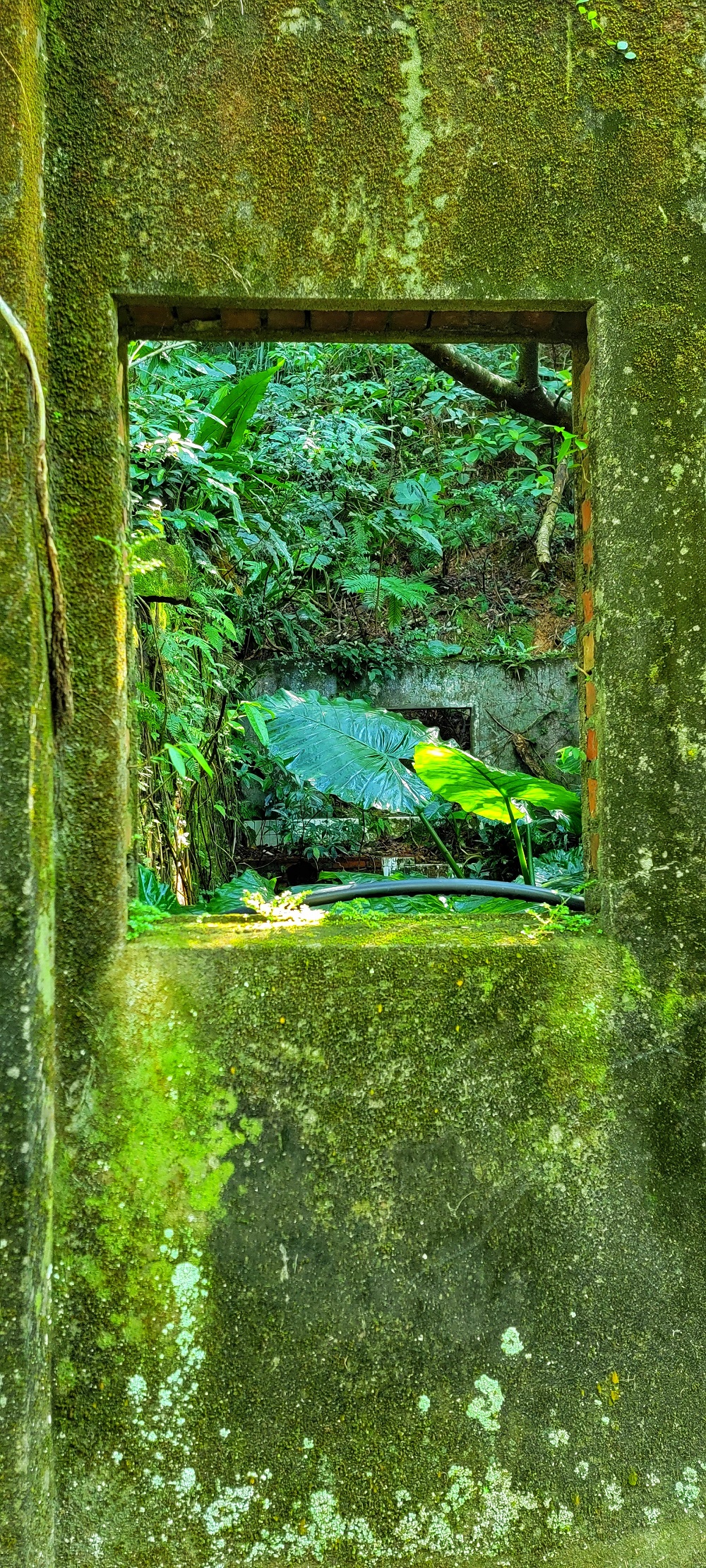 水湳洞步道石頭屋廢墟秘境