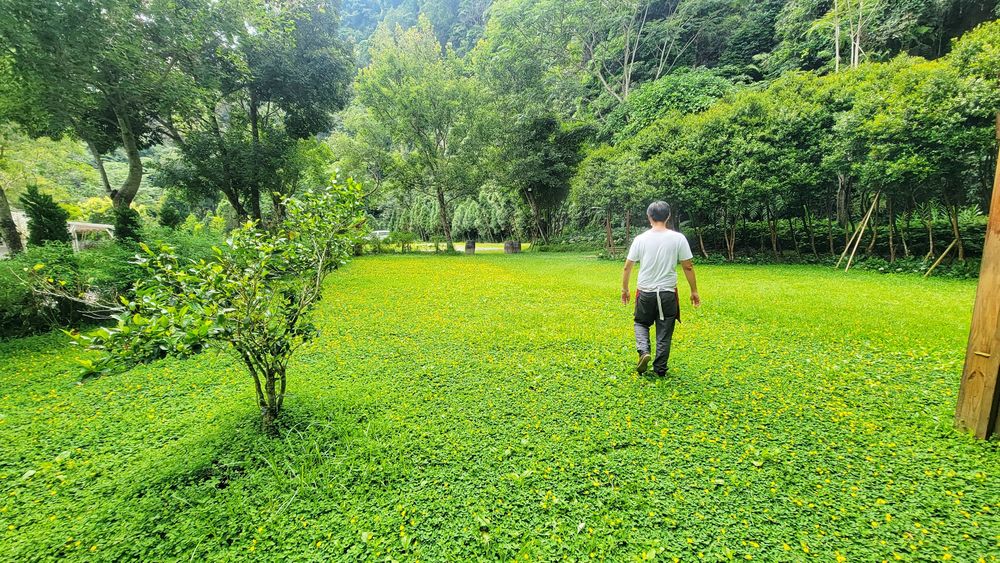 【台中新社│安妮公主花園】花園森林主題派對！新社在地食材 ✕果乾茶體驗✕香草園聞香@環遊世界366天 (47)