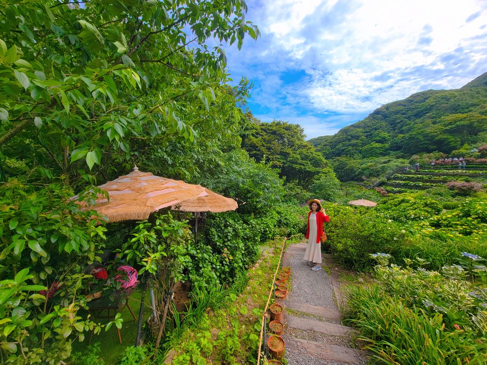 陽明山竹子湖繡球花季│曹家花田香打卡美拍攻略:花背包+日式鳥居+峇里島發呆亭@水靜葳環遊世界366天 