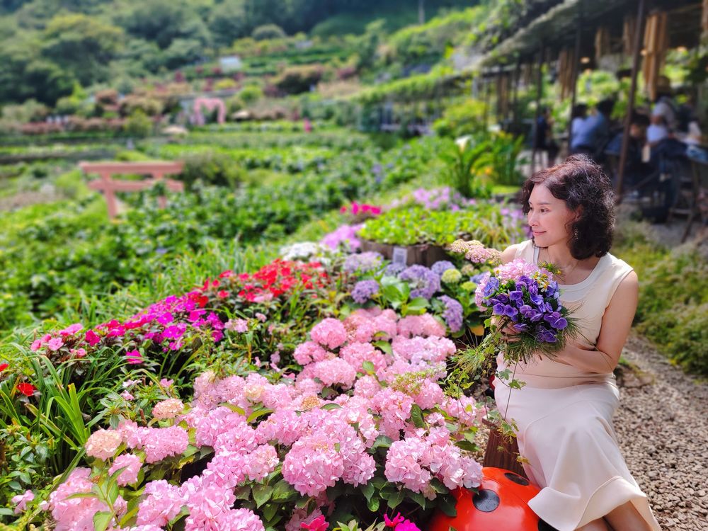 陽明山竹子湖繡球花季│曹家花田香打卡美拍攻略花背包+日式鳥居+峇里島發呆亭@水靜葳環遊世界366天 (19)