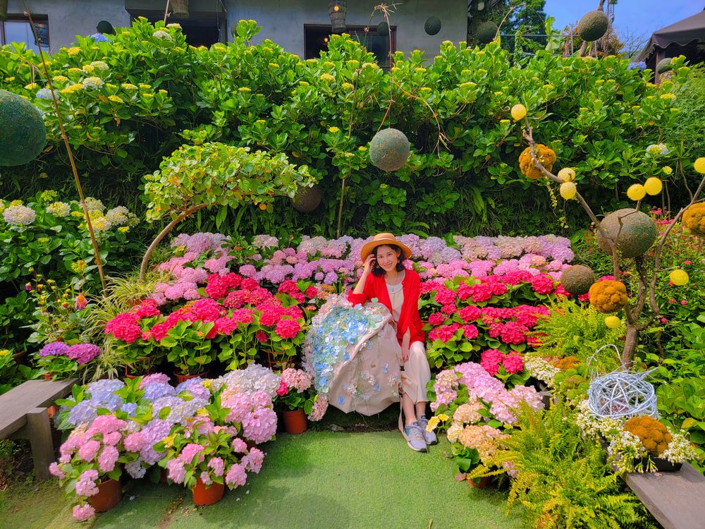 陽明山竹子湖繡球花季│曹家花田香打卡美拍攻略花背包+日式鳥居+峇里島發呆亭@水靜葳環遊世界366天 (23)