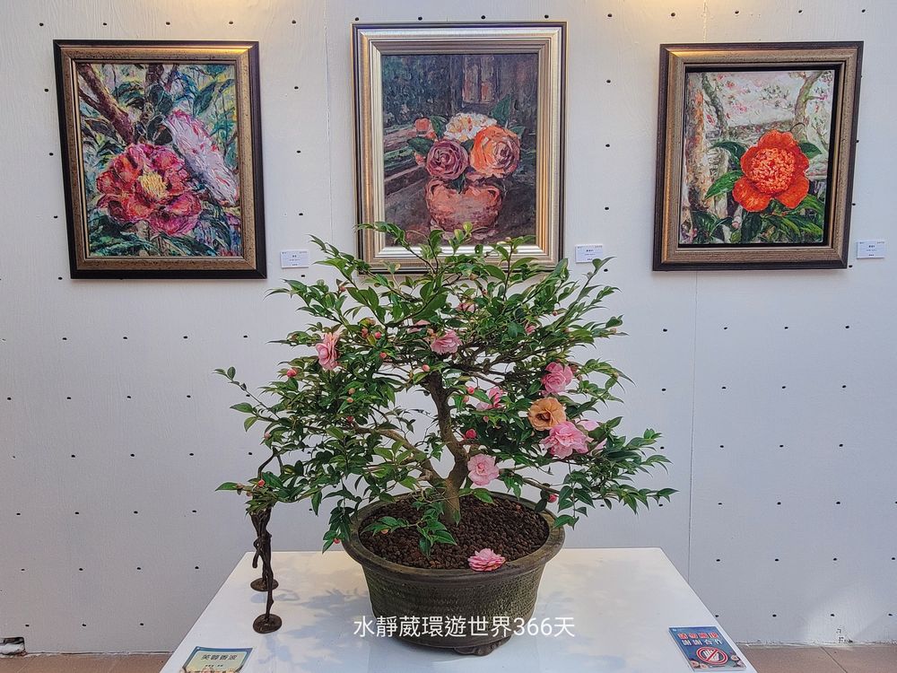 2024台北茶花展特別結合「2024又見茶花藝文畫展」增添繽紛藝術色彩。