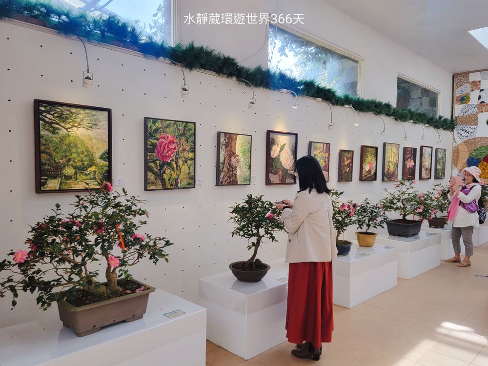 2024台北茶花展除了室外還有室內展出，不受氣候干擾，讓民眾盡情賞花看畫。