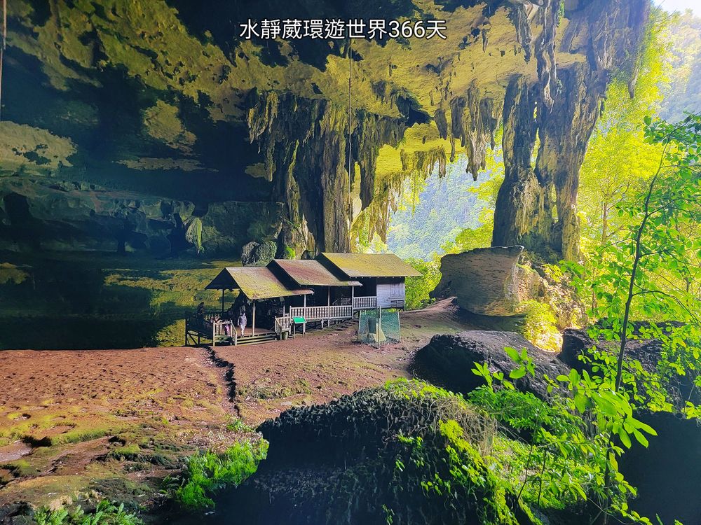 砂拉越美里景點│尼亞國家公園Niah Cave探萬年雨林、世界最大洞穴口、考古遺跡@水靜葳環遊世界366天 (76)