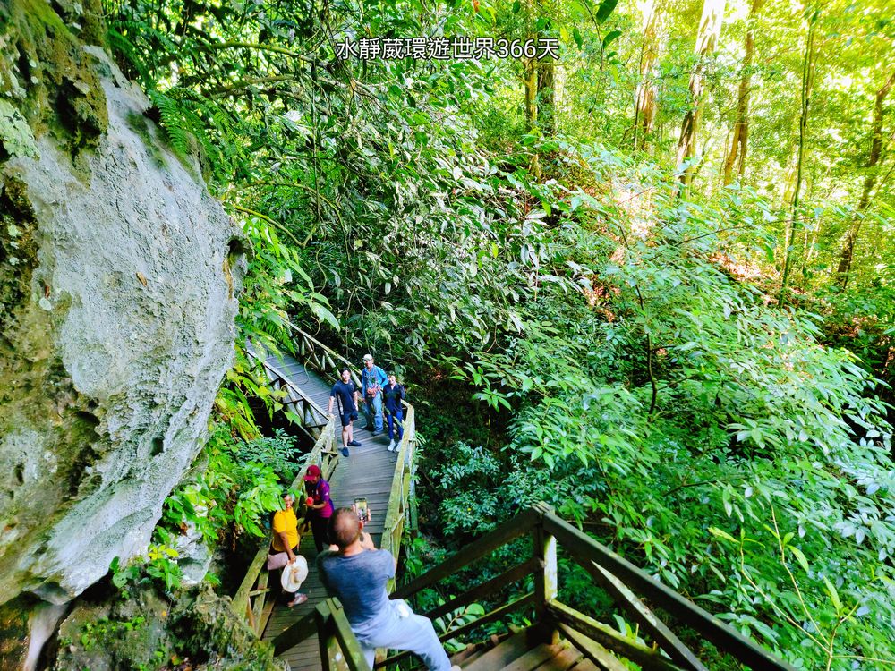 砂拉越美里景點│尼亞國家公園大洞穴（The Great Cave）1