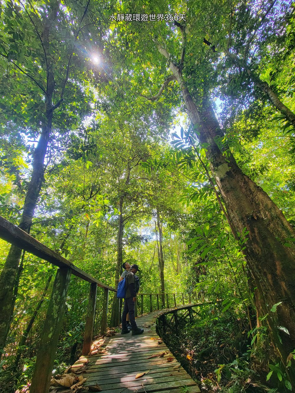 砂拉越美里景點│尼亞國家公園月亮洞穴（Kuala Gankira/Moon Cave）