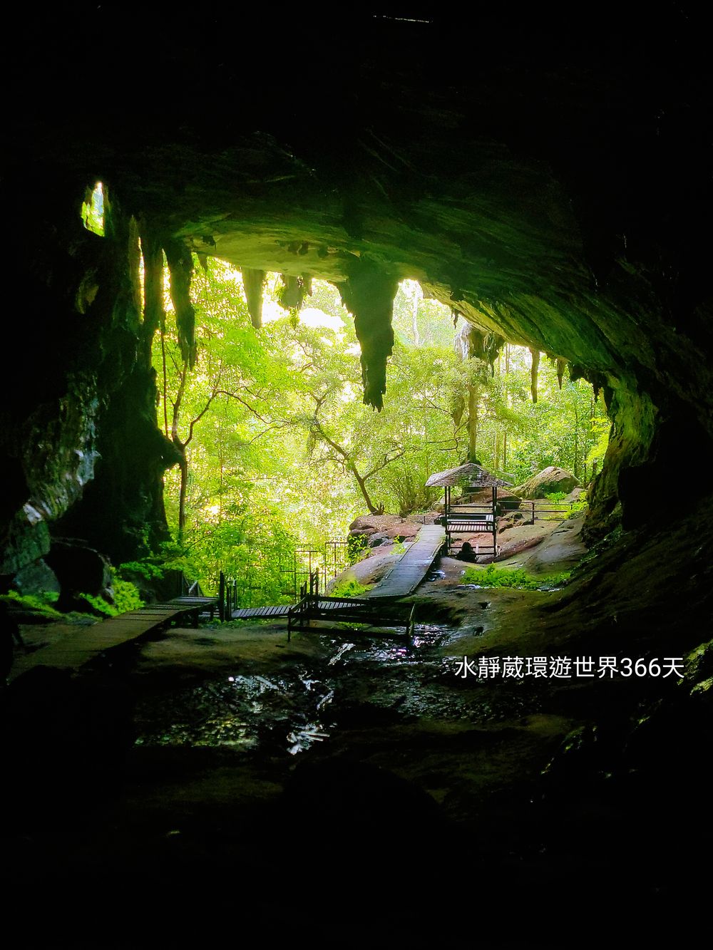 砂拉越美里景點│尼亞國家公園月亮洞穴（Kuala Gankira/Moon Cave）