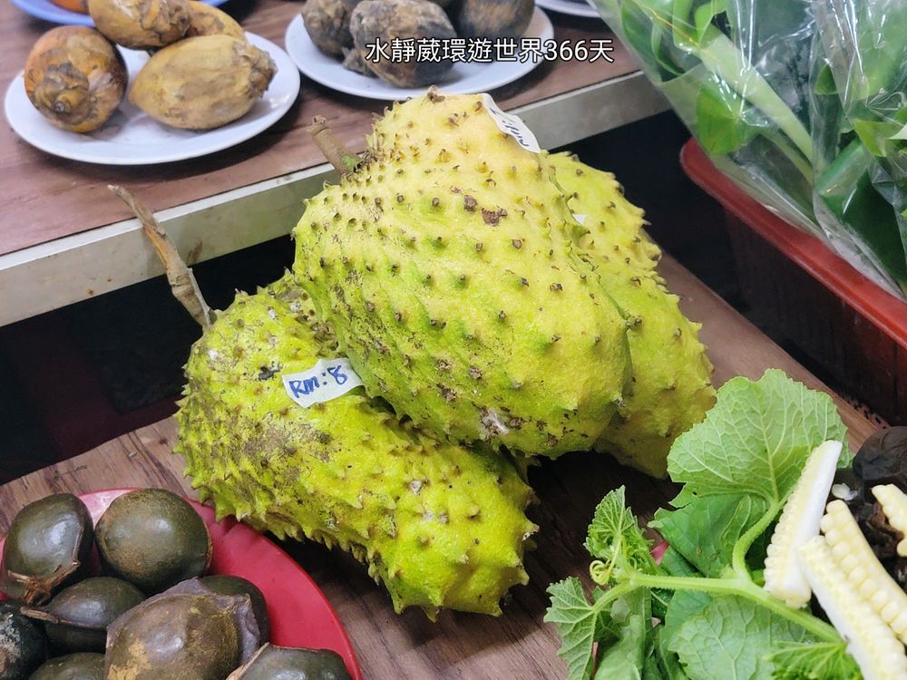 刺番荔枝、紅毛榴槤（Annona muricata／durian belanda）@水靜葳環遊世界366天