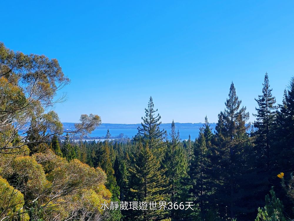 鴻大紐西蘭北島8日遊│電影魔界紅木森林打卡羅托魯瓦Rotorua空中巨木步道 健行、騎馬、山地自行車勝地@水靜葳環遊世界366天 (20)