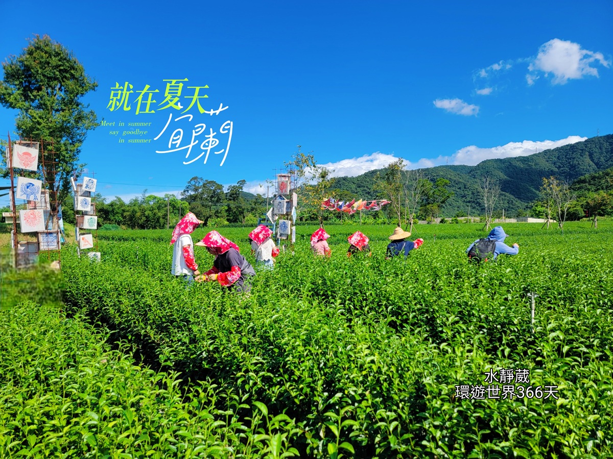 北臺灣農遊趣！宜蘭休閒農業區拔蔥採茶 絕美茶山美拍！永續農遊｜食農教育｜北部農村旅遊新體驗＠水靜葳環遊世界366天 (1)